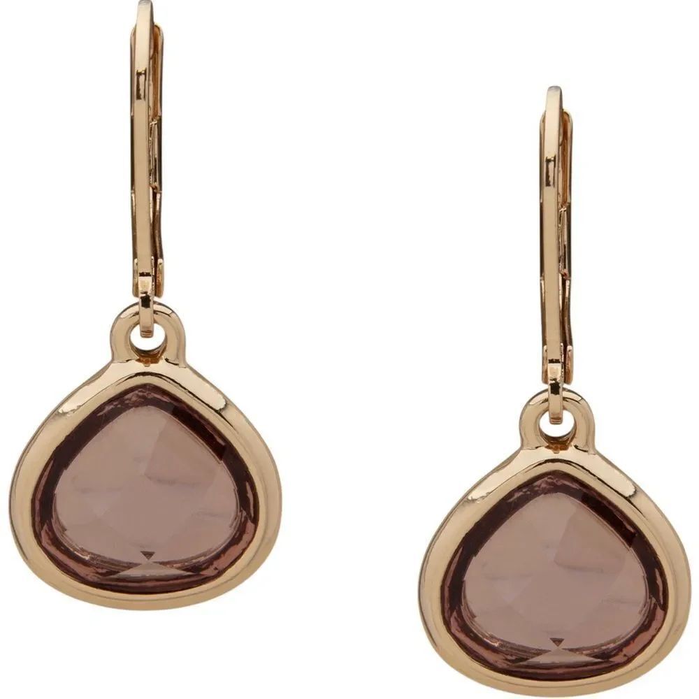 Anne Klein Gold and Brown Bezel-Set Drop Earrings